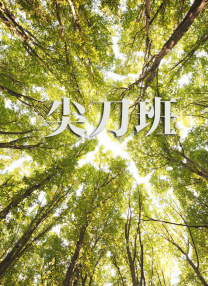 日韩av线上